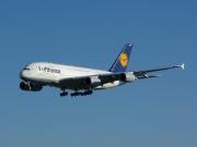 Foto letadla Airbus A380 D-AIMF